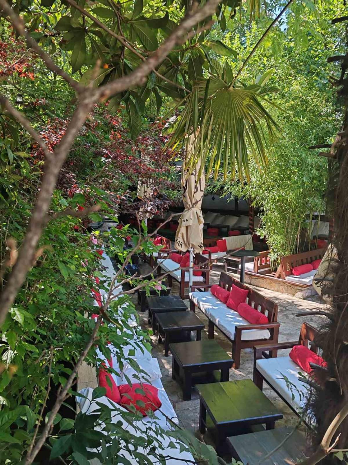 מוסטר Pansion Oscar Summer Garden מראה חיצוני תמונה